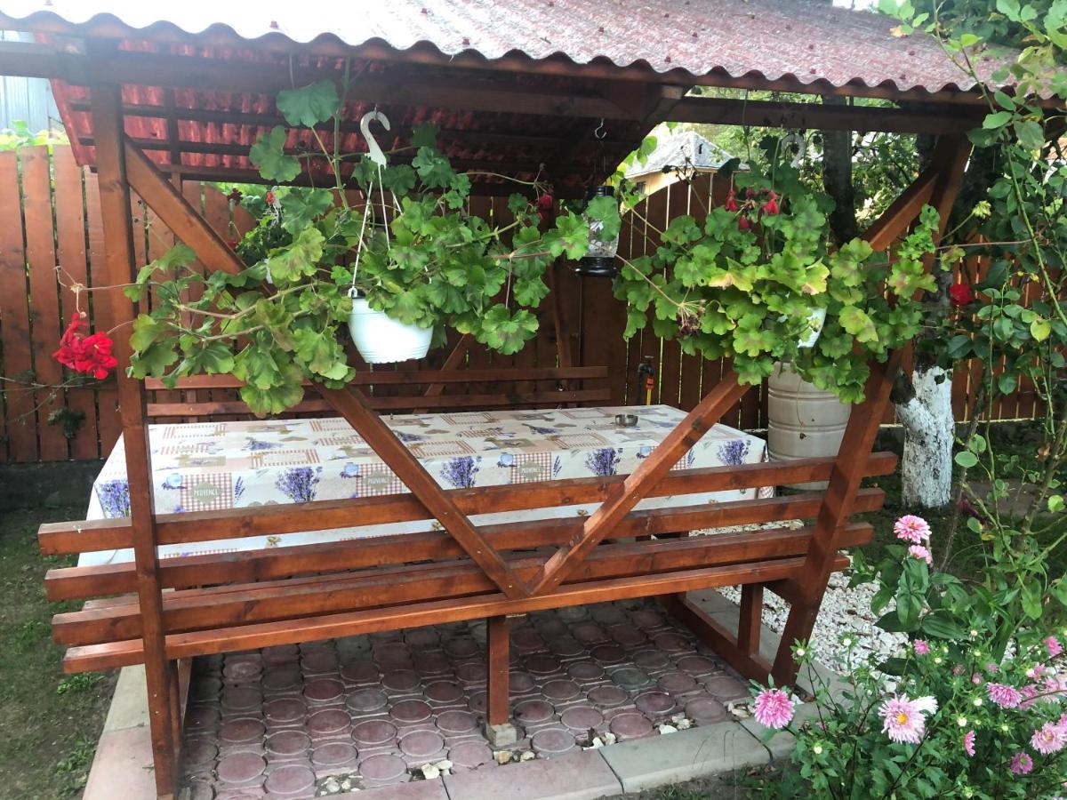 Hotel Casa Todea Cîmpeni Esterno foto