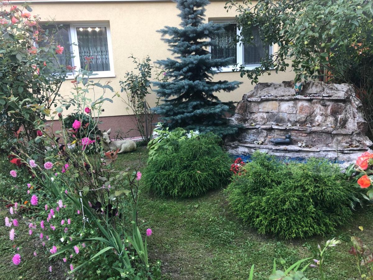 Hotel Casa Todea Cîmpeni Esterno foto